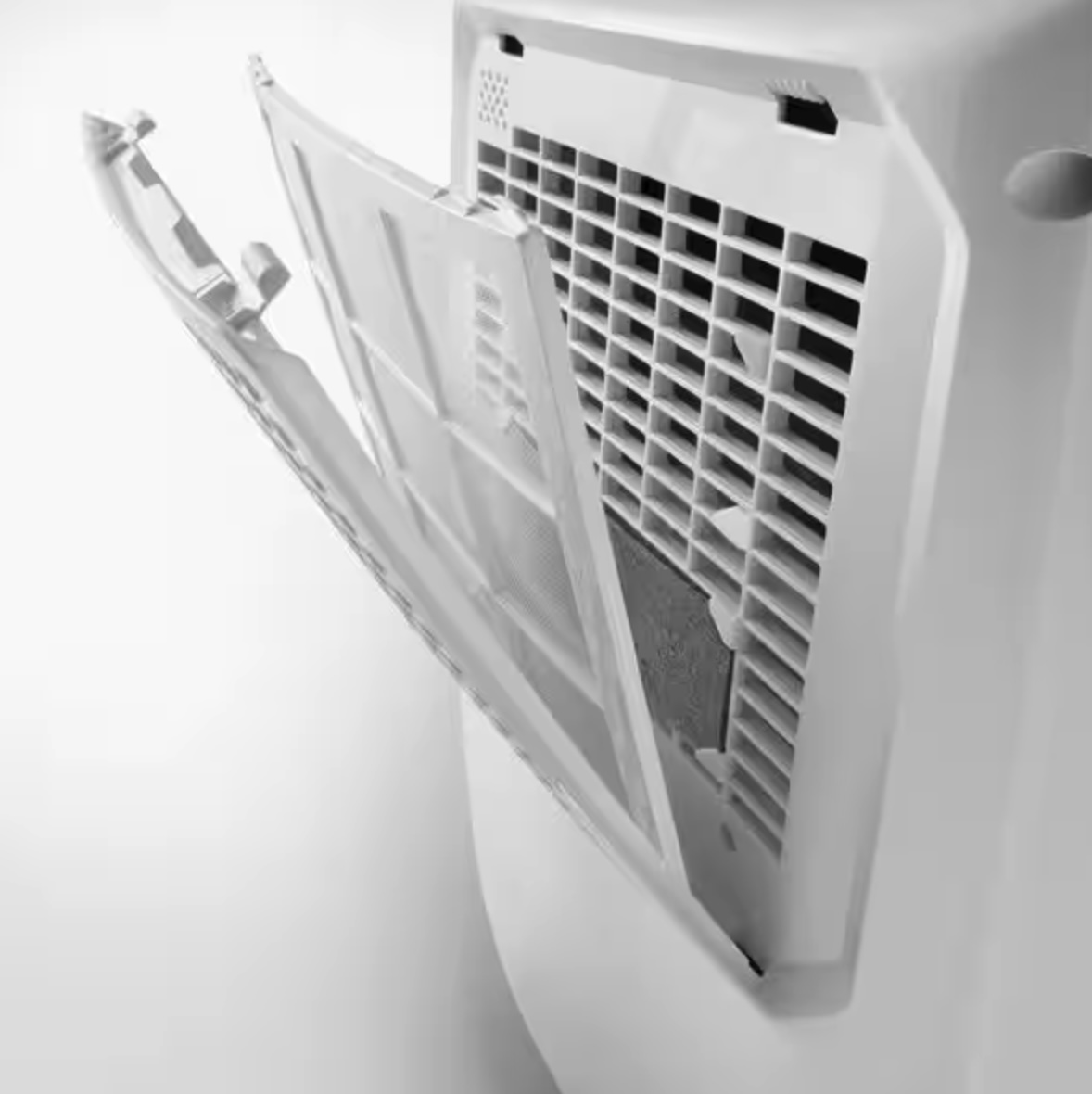 BRAUN (DELONGHI) DLDEX210SF luchtontvochtiger